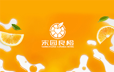 某良橙——临沂LOGO设计